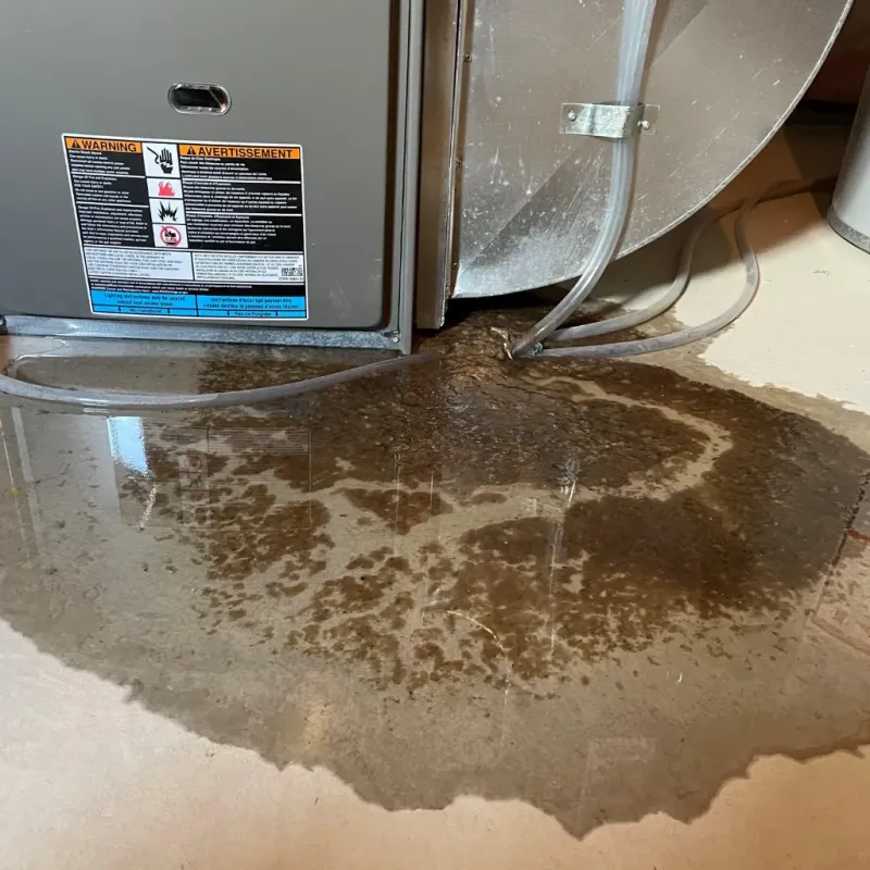 Appliance Leak Cleanup in Sunriver, OR